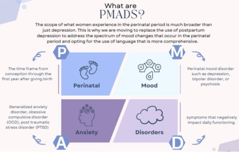 Perinatal Mood and Anxiety Disorders: More Common than You Might Think ...